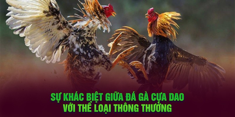 su-khac-biet-giua-da-ga-cua-dao-voi-the-loai-thong-thuong-.jpg